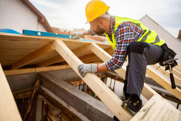 Best Gutter Installation and Roofing  in Murillo, TX