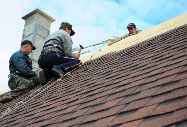 Best Storm Damage Roof Repair  in Murillo, TX