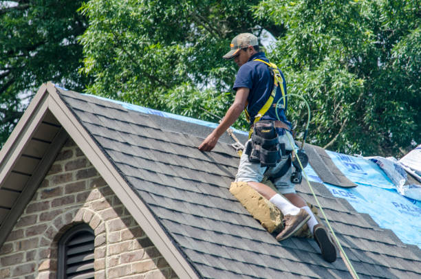 Professional Roofing Contractor in Murillo, TX